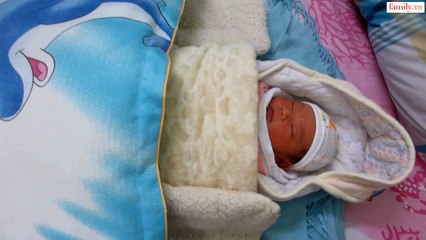 Vlog 257 Ngựa 1 Năm về trước ( family.vn )