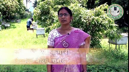 Madhumakhi Palan Best Agriculture Side Business