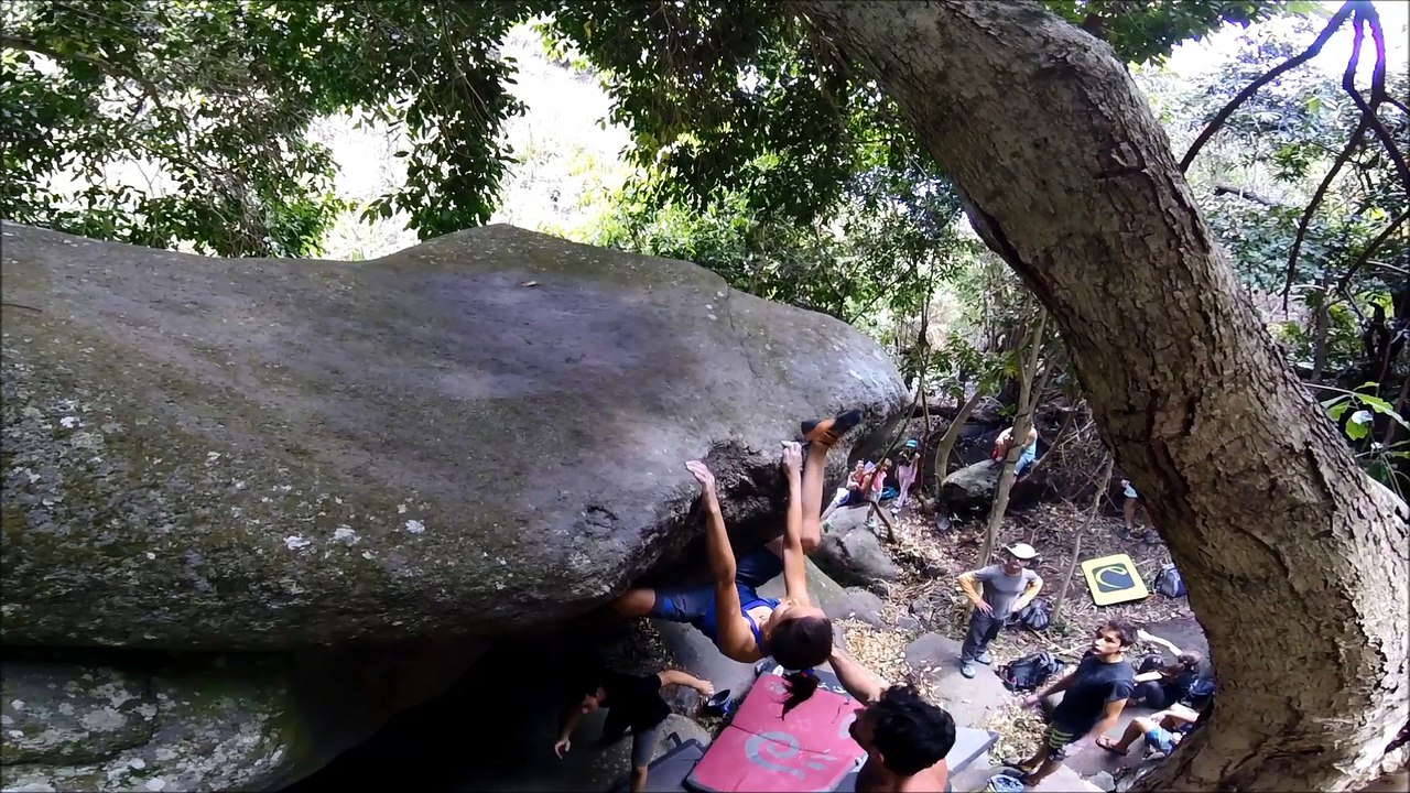 Adrénaline - Escalade : Oriane Bertone, l'avenir féminin de l'escalade