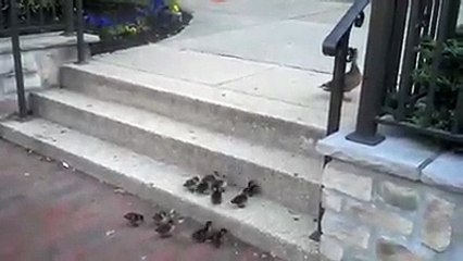 Ye mat kaho KHUDA se meri mushkilen badi hai....Uploaded by Dailyfan