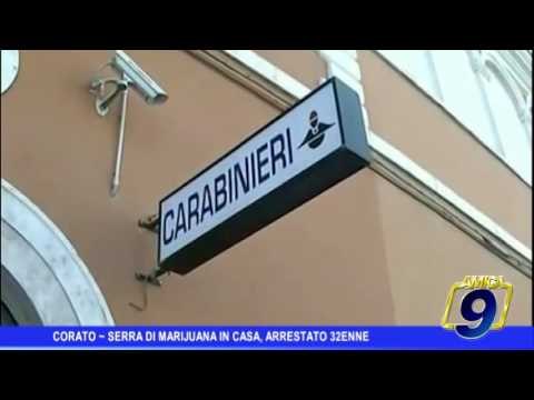 Corato | Nascondeva una serra di marijuana in casa, arrestato 32enne