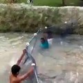 Catch Fish With Net-Fish Flying In River