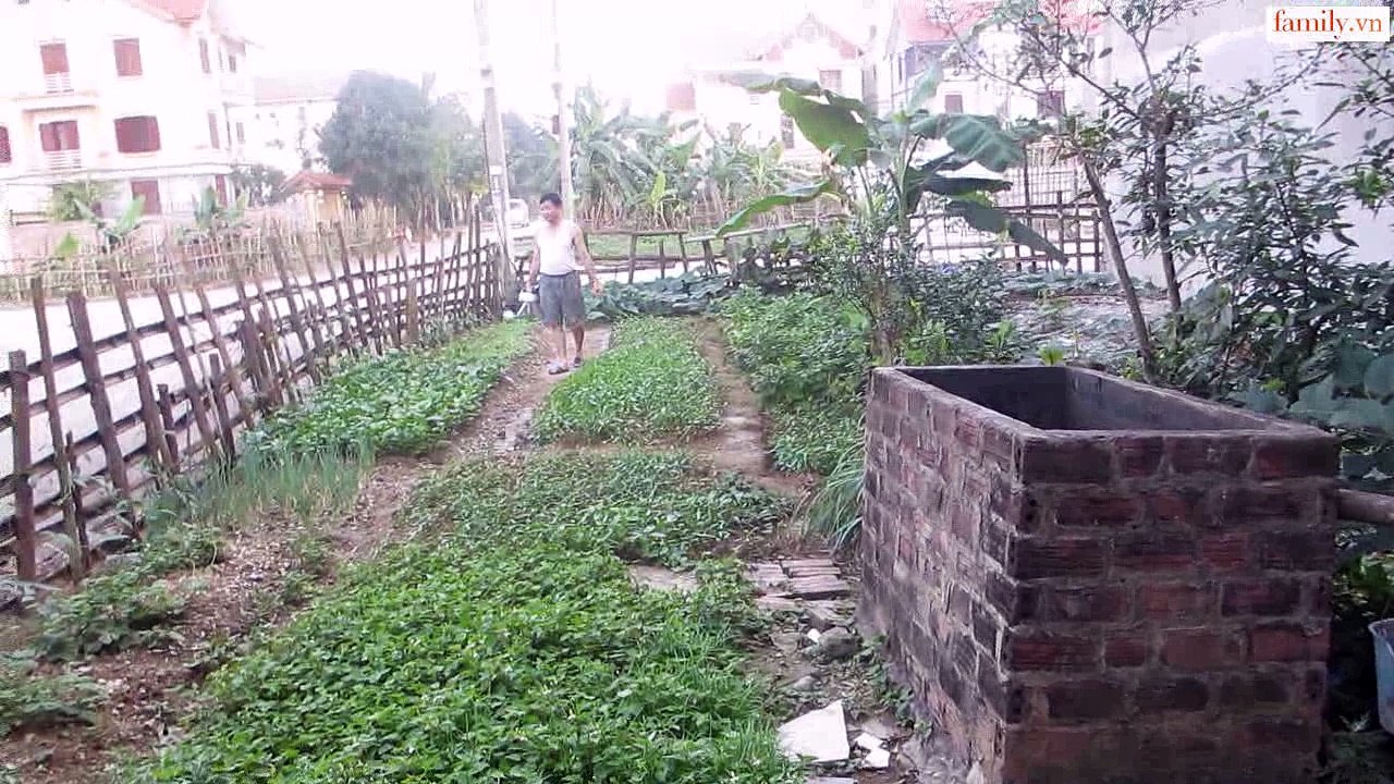 Vlog 264 Chị Cún ( family.vn )