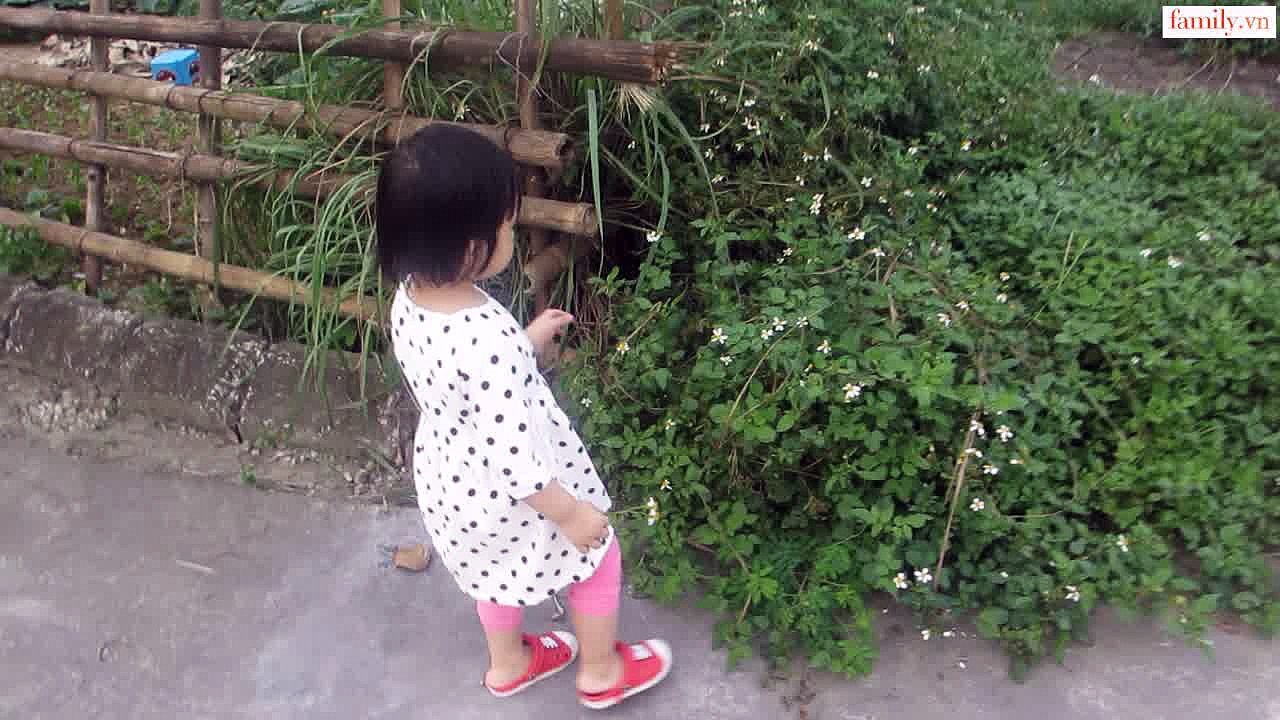 Vlog 265 Chị Cún ( family.vn )