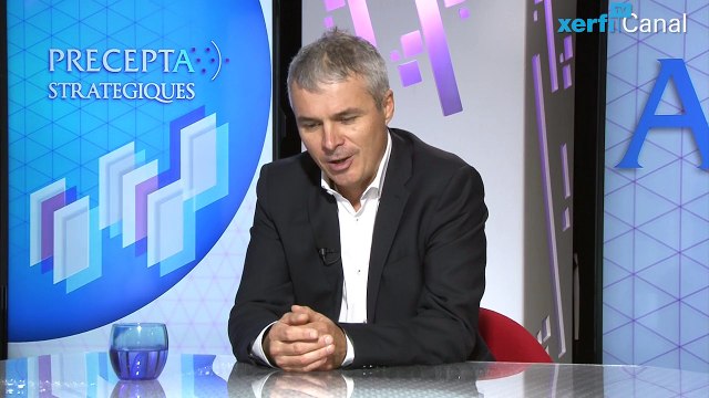 Vincent Mangematin, Stratégies et impact de la recherche française en management - universités et business schools