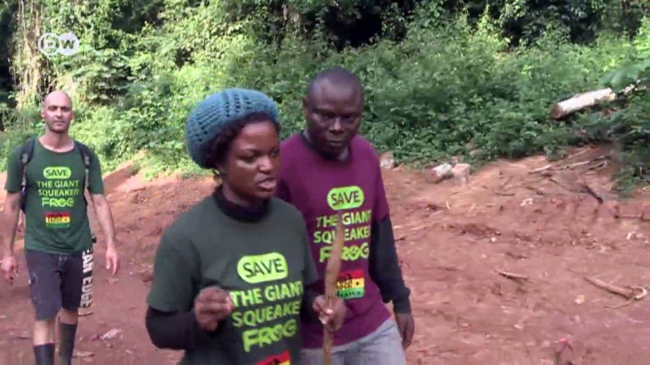 Die Suche nach dem Großen Pfeiffrosch | Global Ideas