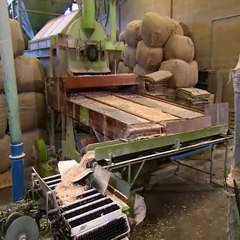 Nasıl Yapılır???  Kibrit Yapımı ÇOK İlginç ...