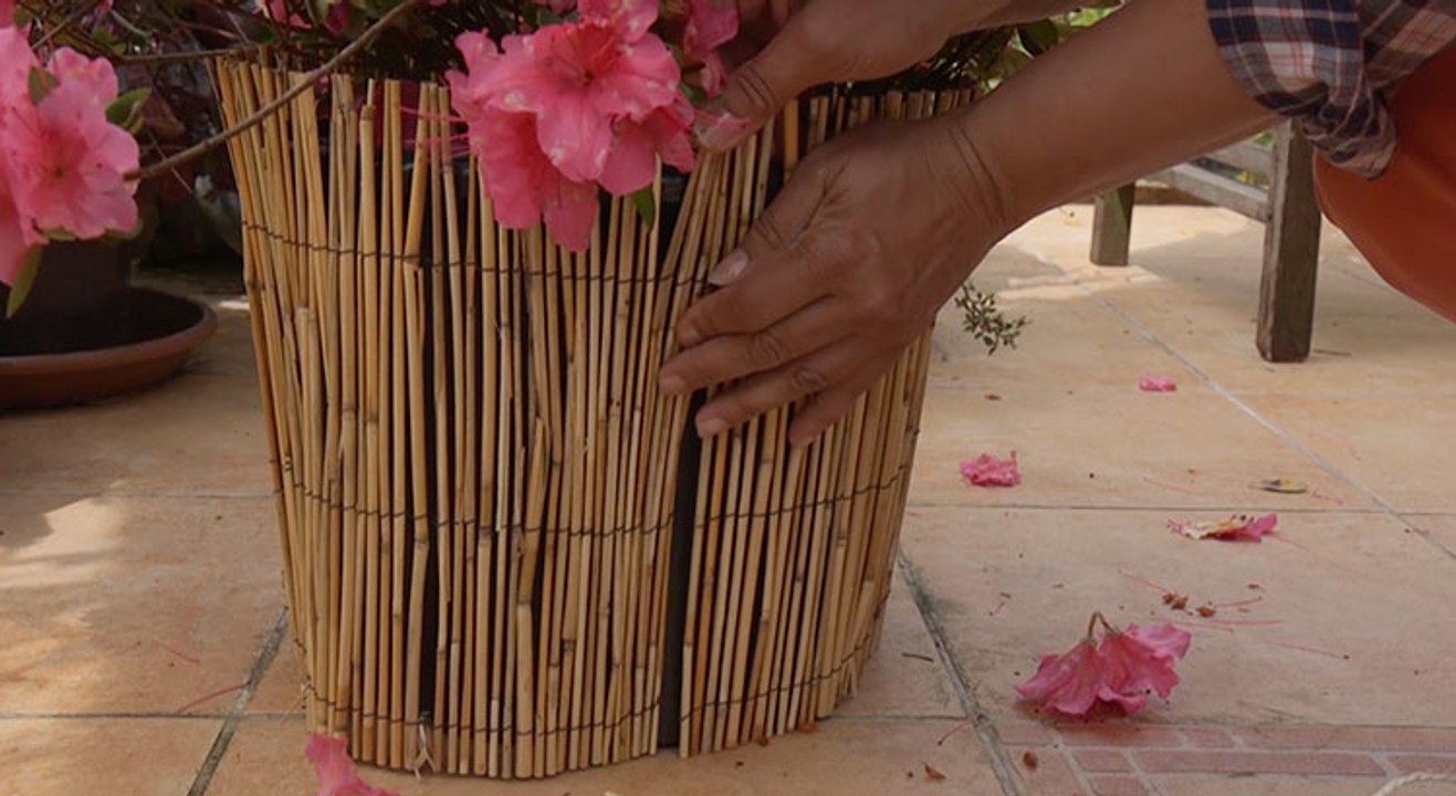 DIY : Comment camoufler un pot ?
