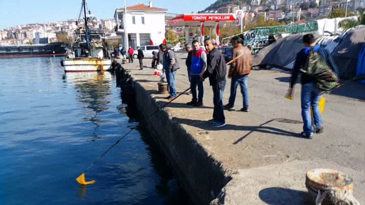 KARADENİZ'DE VURGUN YİYEN BALIKLAR KIYIYA VURDU...