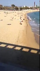 See you guys live .. soon-Airoplane Crash In Beach