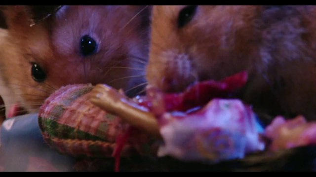 Invasion... de Hamster Zombies morts-vivants !
