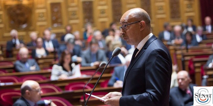 Intervention au Sénat d'Harlem Désir lors du débat préalable au Conseil européen du 20 et 21 octobre 2016