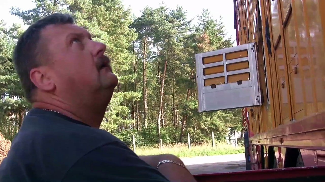 Tiertransporte mit dem LKW - wie man es zum Wohl der Tiere realisieren kann