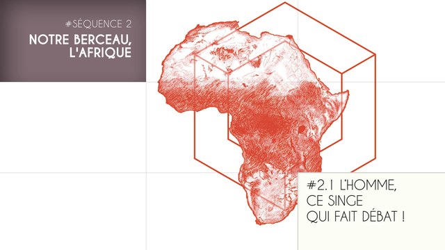 MOOC Les origines de l'Homme - Sujet 2.1 : L'Homme, ce singe qui fait débat !