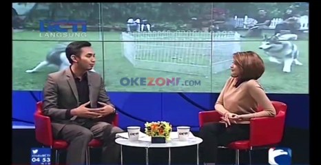 Manjakan Hewan peliharaan Anda di Rumah Guguk