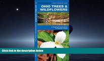 Choose Book Ohio Trees   Wildflowers: A Folding Pocket Guide to Familiar Plants (Pocket Naturalist