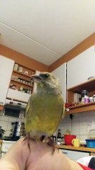 Osa 3. Kohtaamisia. Illuusio Toisen Totuuden Tuolla Puolen.