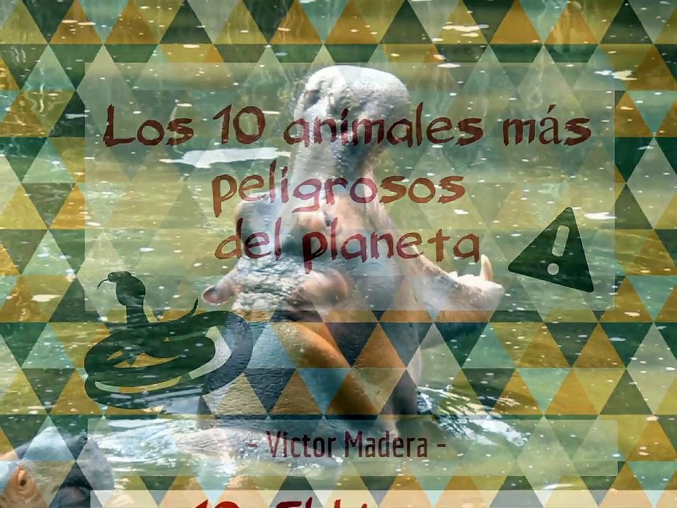 Los 10 animales más peligrosos del planeta según Victor Madera