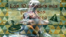Los 10 animales más peligrosos del planeta según Victor Madera