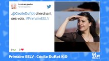 Les internautes se moquent de Cécile Duflot, battue aux primaires des Verts