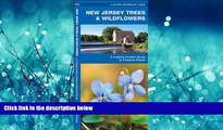 For you New Jersey Trees   Wildflowers: A Folding Pocket Guide to Familiar Species (Pocket