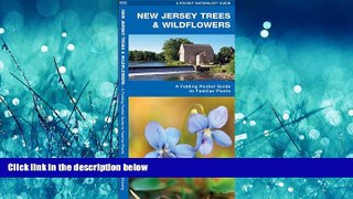 For you New Jersey Trees   Wildflowers: A Folding Pocket Guide to Familiar Species (Pocket