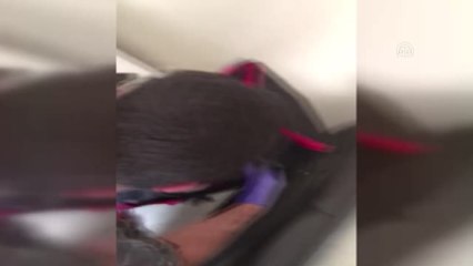 Izmir'de Saldırı Hazırlığındaki Terörist Yakalandı