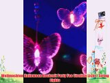 2.5m 3w 10-LED-buntes Licht Schmetterling geformt LED-String-Lampe fÃ¼r Festival Dekoration