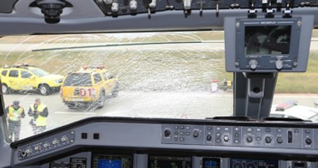 Fenerbahçe Uçağının Camına Kuş Çarptığı Kesinleşti