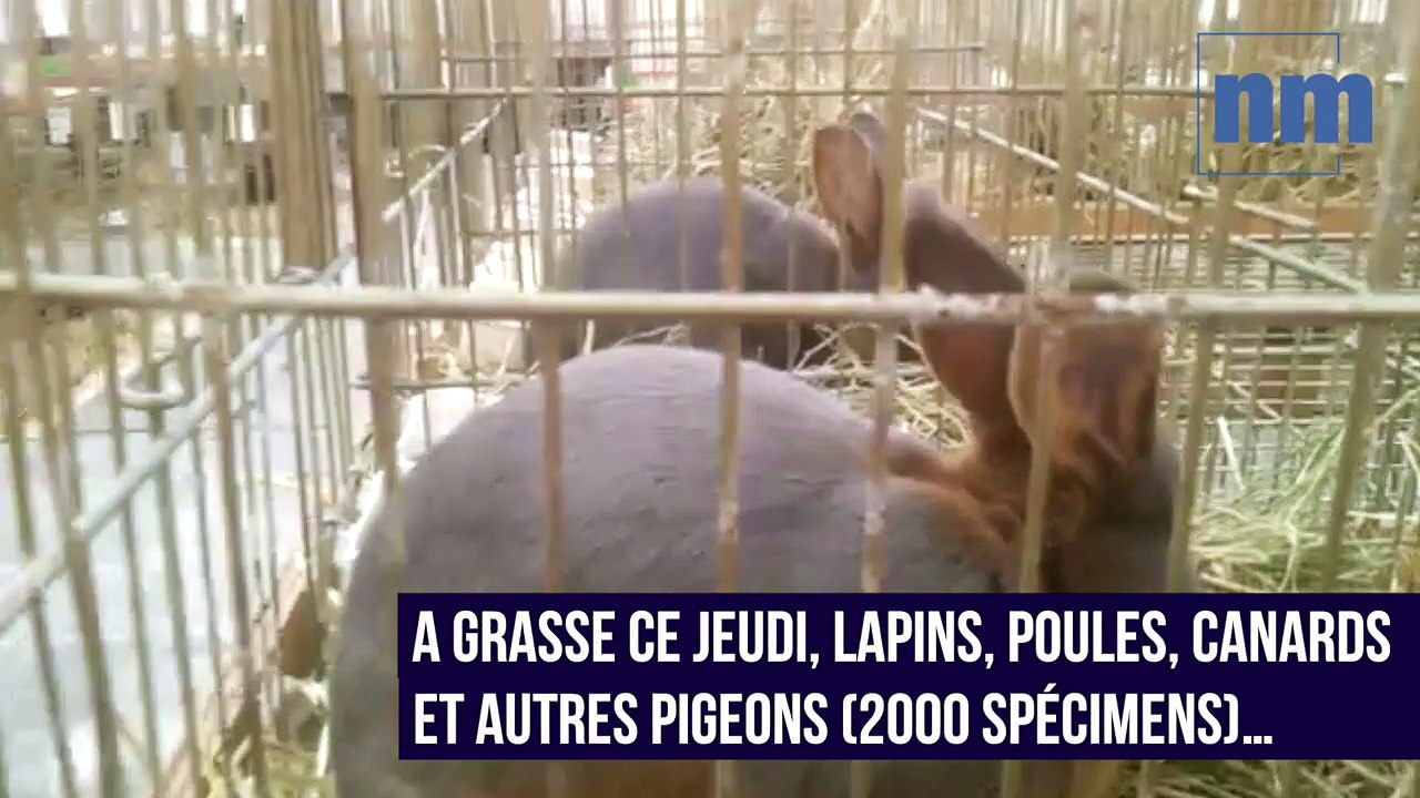 XXe exposition des animaux de basse-cour