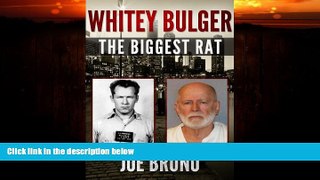 FREE PDF  Whitey Bulger - The Biggest Rat  BOOK ONLINE