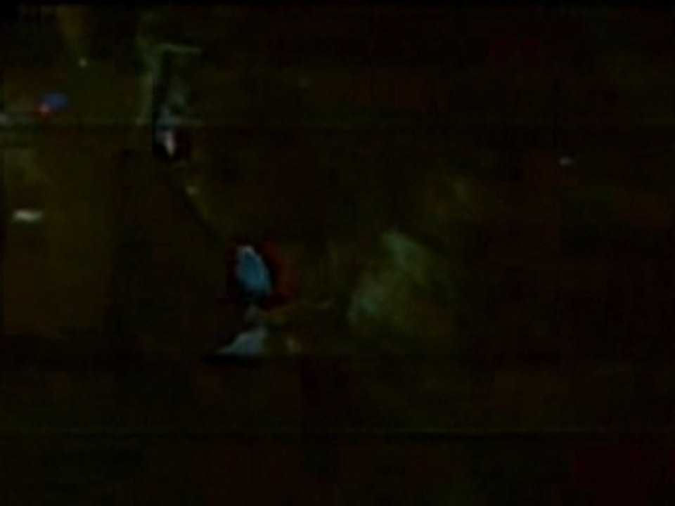 NASA - Apollo 11 - window trick