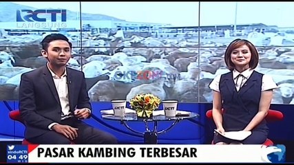 Pasar Kambing Terbesar di Arab