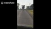 Driver late for work as Amish horse-and-cart blocks road