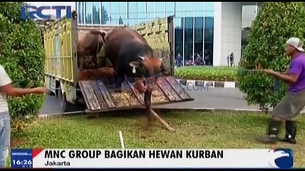 MNC Group Bagikan Hewan Kurban
