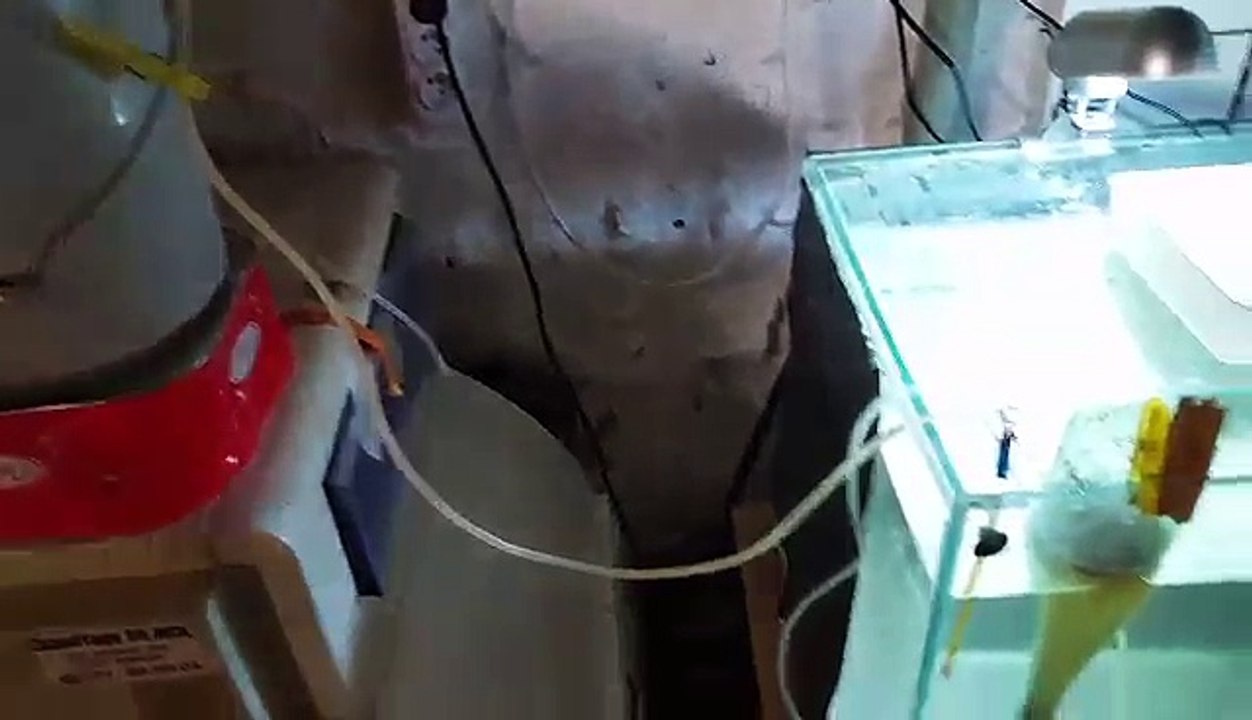 video-1476991287