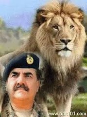 Lion of Pakistan General Raheel sharif - The most powerful guy