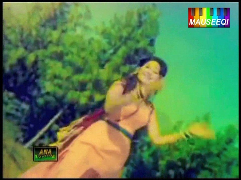 Aye Ga Koi Aye Ga - Tum Salamat Raho - From DvD Mala Begum Vol. 1