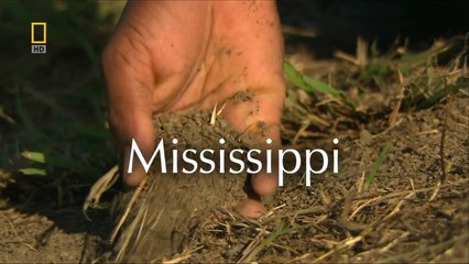 Реки Жизни. Миссисипи