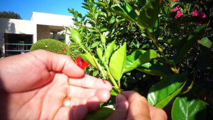 SHE FELL OUT!! SEA SOFA EPIC FAIL!! (EXTREME WIPEOUT)