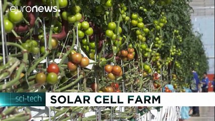 ساخت مزرعه سرپوشیده در استرالیا با استفاده از انرژی تجدیدپذیر