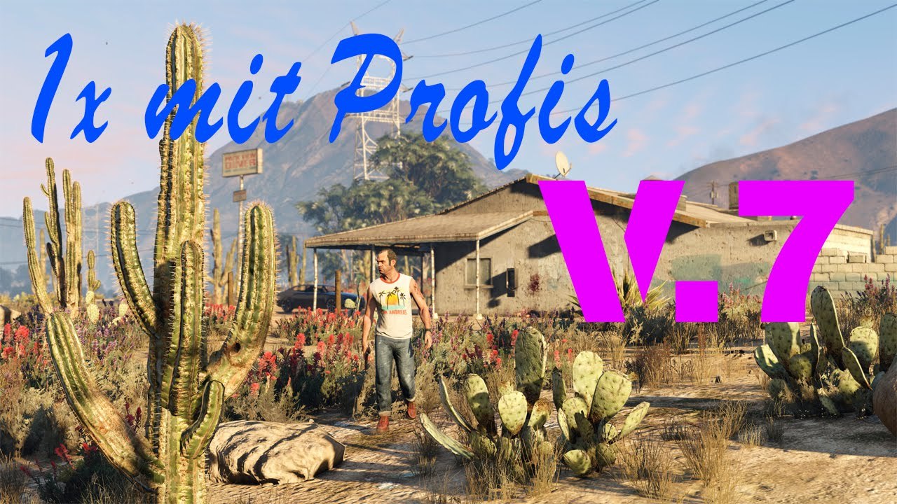 Einmal mit Profis V.7