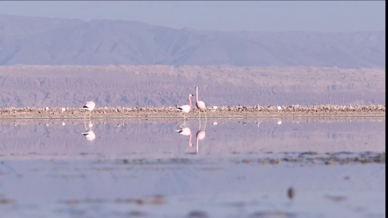 Parte 8 - Salar de Atacama