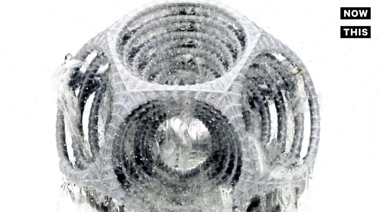 This 3D Printer Can Print Two Different Materials Simultaneously