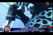 Buzos viven segundos de terror al ser atacados por un tiburón