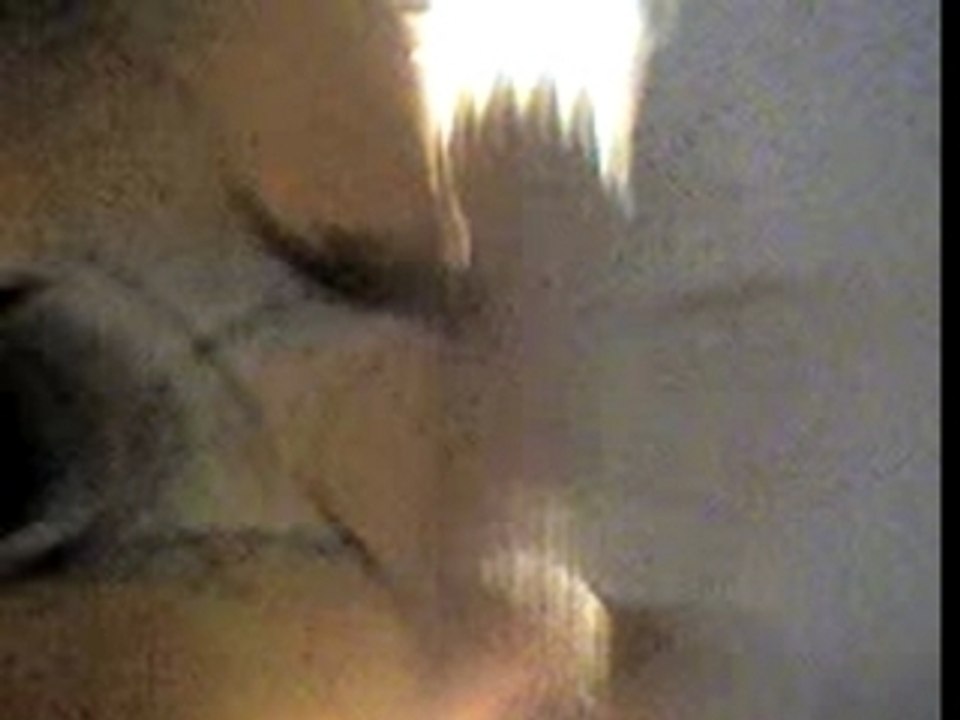 The Rakes FAV Colmar 2007