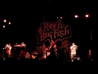 Reel Big Fish - Sell Out [Live at Bogarts Cincinnati]