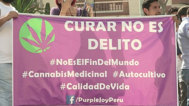 Colectivo pide que se legalice uso de cannabis con fines medicinales en Perú
