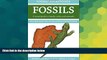 READ FULL  Formac Pocketguide to Fossils: Fossils, Rocks   Minerals in Nova Scotia, New Brunswick