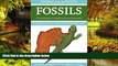Must Have  Formac Pocketguide to Fossils: Fossils, Rocks   Minerals in Nova Scotia, New Brunswick